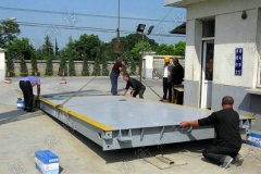 50������ӡ�����܇��